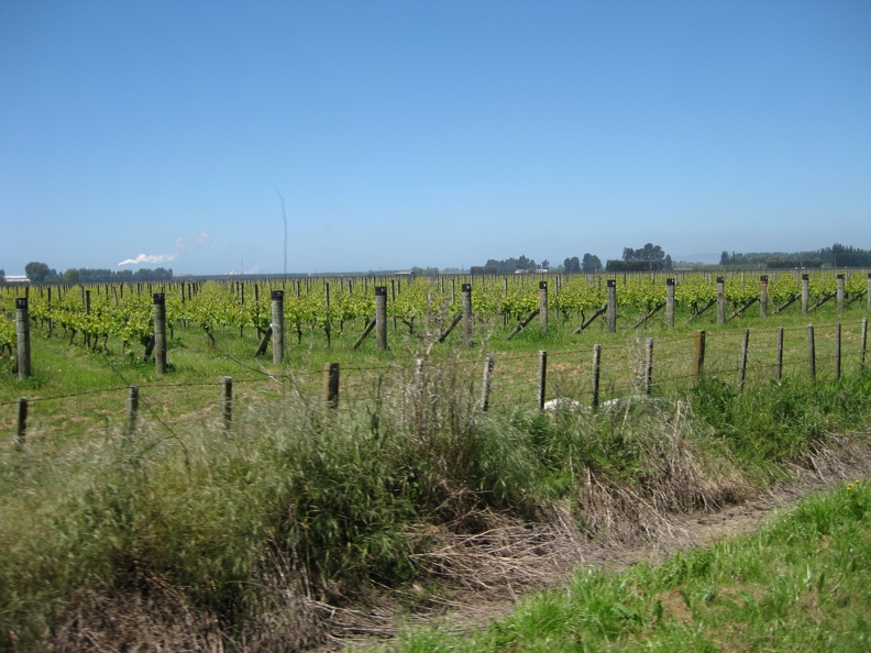 10 Hawke s Bay Wine Country